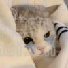 栢钎布点