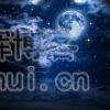 鲸落万物生