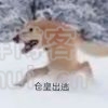 小登（限时返场）