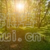 反腐倡廉
